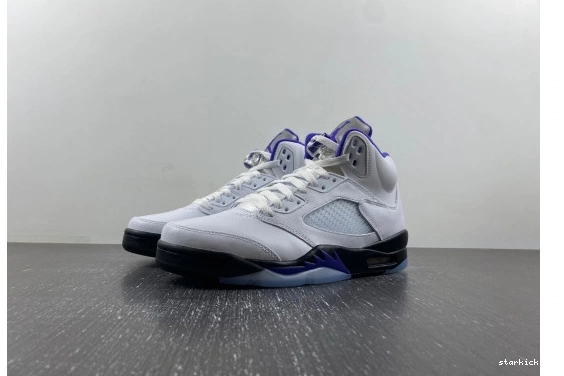 DD0587-141 Jordan Dark  Concord 5 Retro DD0587-141 1113